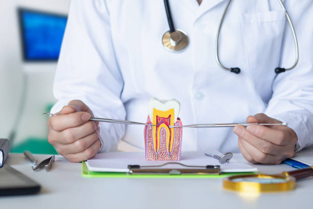 Best Emergency Root Canal Treatment in Terra Bella, CA